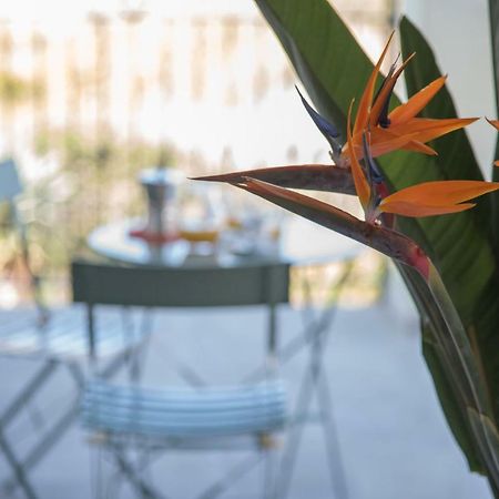 La Strelitzia Cervo Mare Leilighet Eksteriør bilde