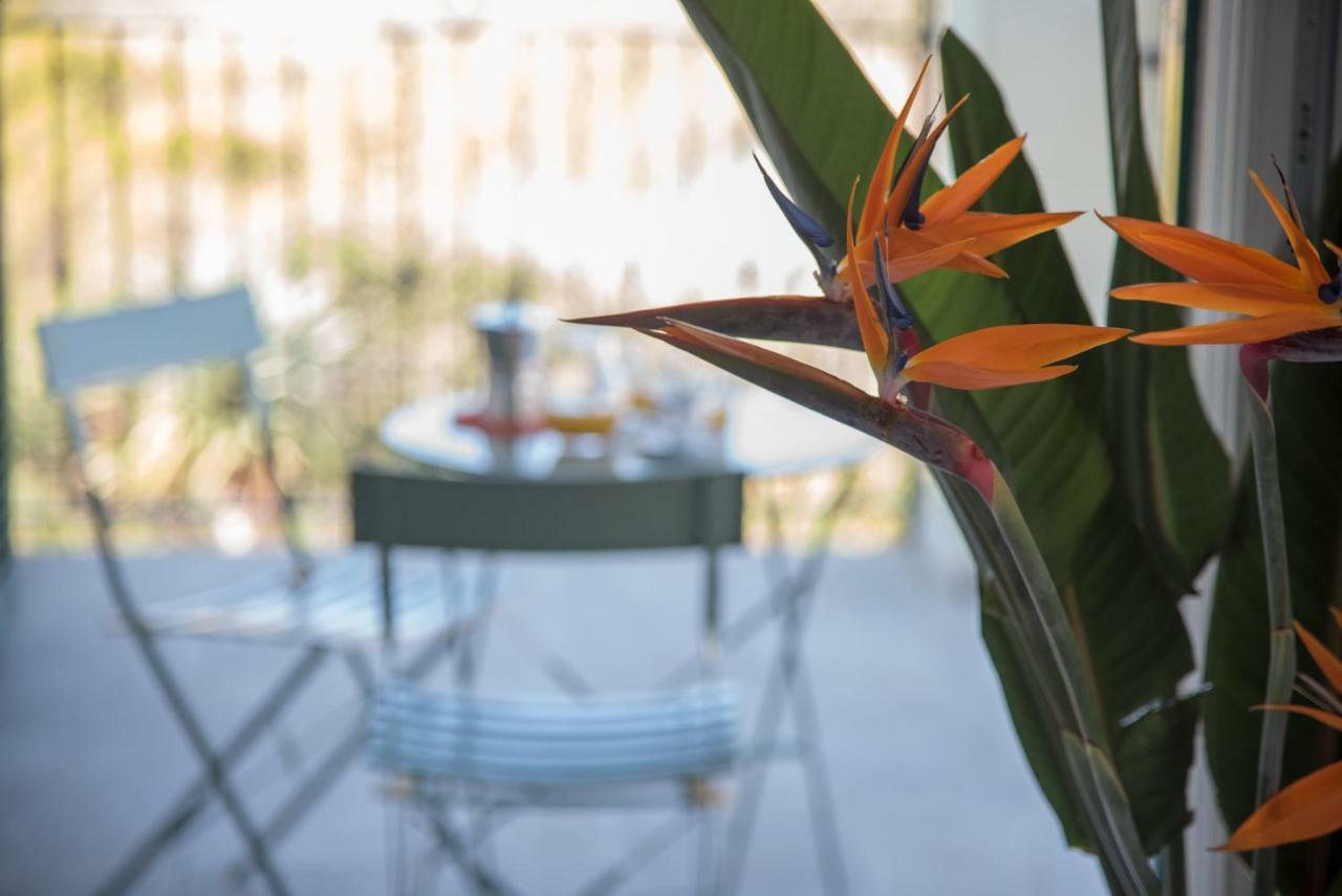 La Strelitzia Cervo Mare Leilighet Eksteriør bilde